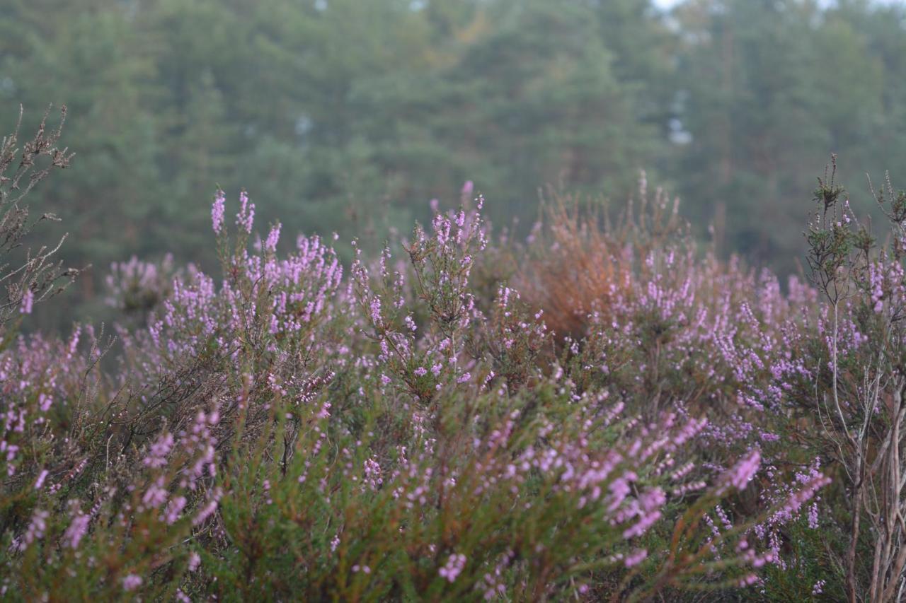 B&B De Loenense Bossen מראה חיצוני תמונה